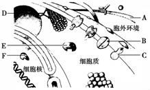 菁優(yōu)網(wǎng)