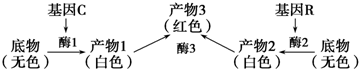 菁優(yōu)網