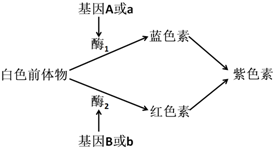 菁優(yōu)網