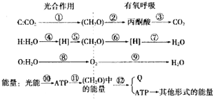 菁優(yōu)網(wǎng)