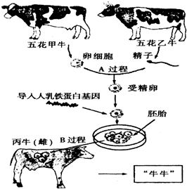 如图是科学家利用先进的生物科学技术