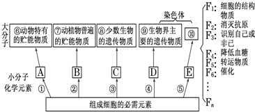 菁優(yōu)網