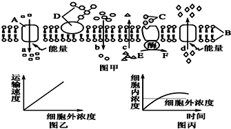 菁優(yōu)網(wǎng)