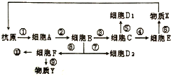 菁優(yōu)網