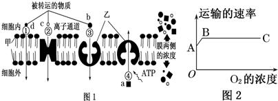 菁優(yōu)網(wǎng)