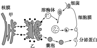 菁優(yōu)網(wǎng)