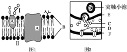 菁優(yōu)網(wǎng)