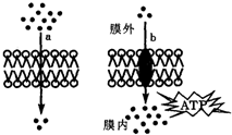 菁優(yōu)網(wǎng)