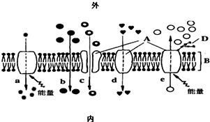 菁優(yōu)網(wǎng)