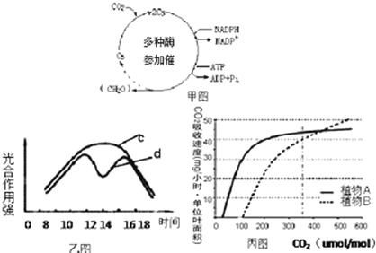 菁優(yōu)網