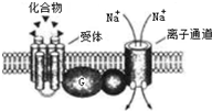 菁優(yōu)網(wǎng)