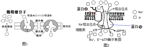 菁優(yōu)網(wǎng)