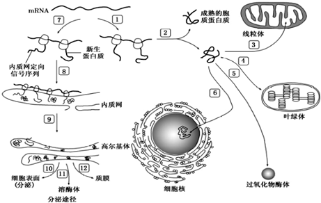 菁優(yōu)網(wǎng)