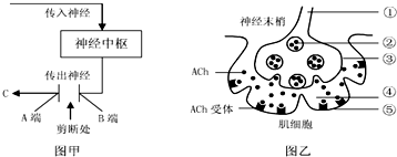 菁優(yōu)網(wǎng)