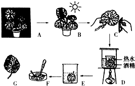 菁優(yōu)網(wǎng)