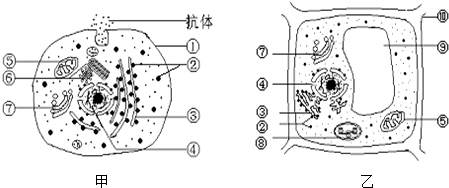 菁優(yōu)網(wǎng)