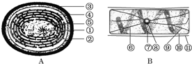 菁優(yōu)網(wǎng)