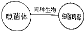 菁優(yōu)網(wǎng)