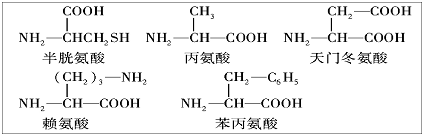 菁優(yōu)網