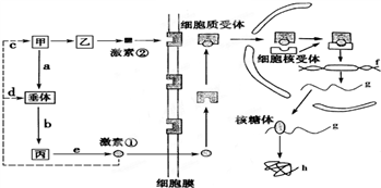 菁優(yōu)網(wǎng)