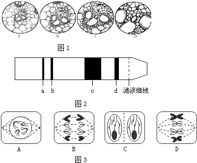 菁優(yōu)網