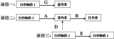 菁優(yōu)網(wǎng)