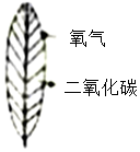 菁優(yōu)網