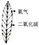 菁優(yōu)網