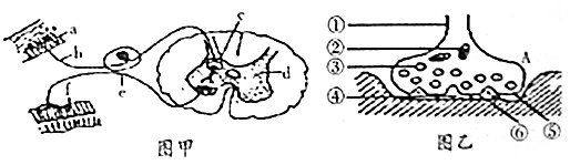 菁優(yōu)網