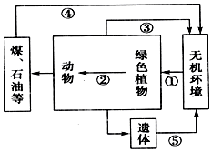 菁優(yōu)網(wǎng)