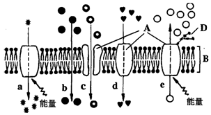 菁優(yōu)網(wǎng)