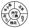 菁優(yōu)網