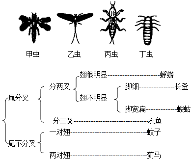 菁優(yōu)網