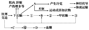 菁優(yōu)網(wǎng)