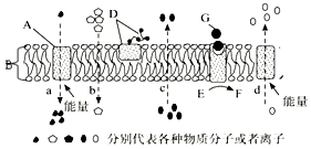 菁優(yōu)網(wǎng)