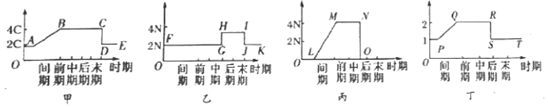 菁優(yōu)網