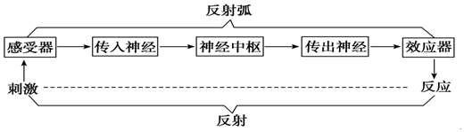 菁優(yōu)網