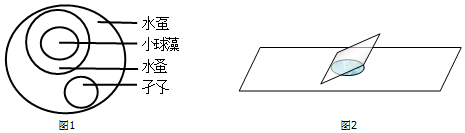 菁優(yōu)網