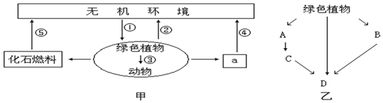 菁優(yōu)網(wǎng)