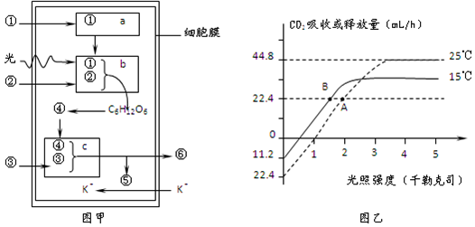 菁優(yōu)網(wǎng)