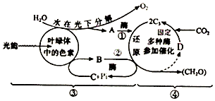 菁優(yōu)網(wǎng)