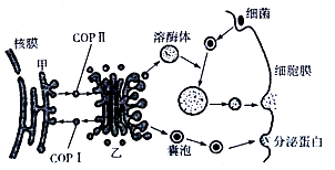 菁優(yōu)網(wǎng)