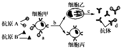 菁優(yōu)網(wǎng)