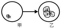 菁優(yōu)網(wǎng)