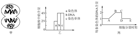 菁優(yōu)網