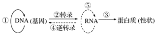 菁優(yōu)網