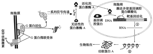 菁優(yōu)網