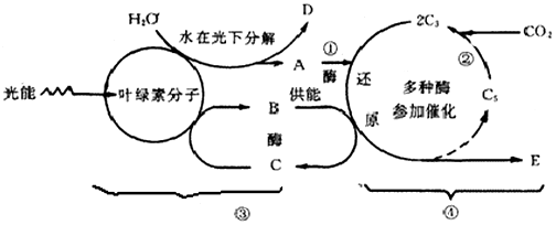 菁優(yōu)網(wǎng)