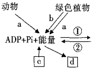 菁優(yōu)網(wǎng)