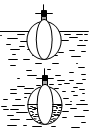 菁優(yōu)網